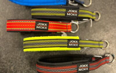Företagsbesök hos Jokkmokks Hundsport